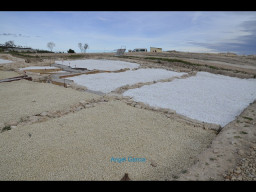 Yacimiento de los Cantos-Bullas 2014